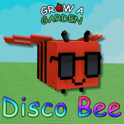 Disco Bee pet