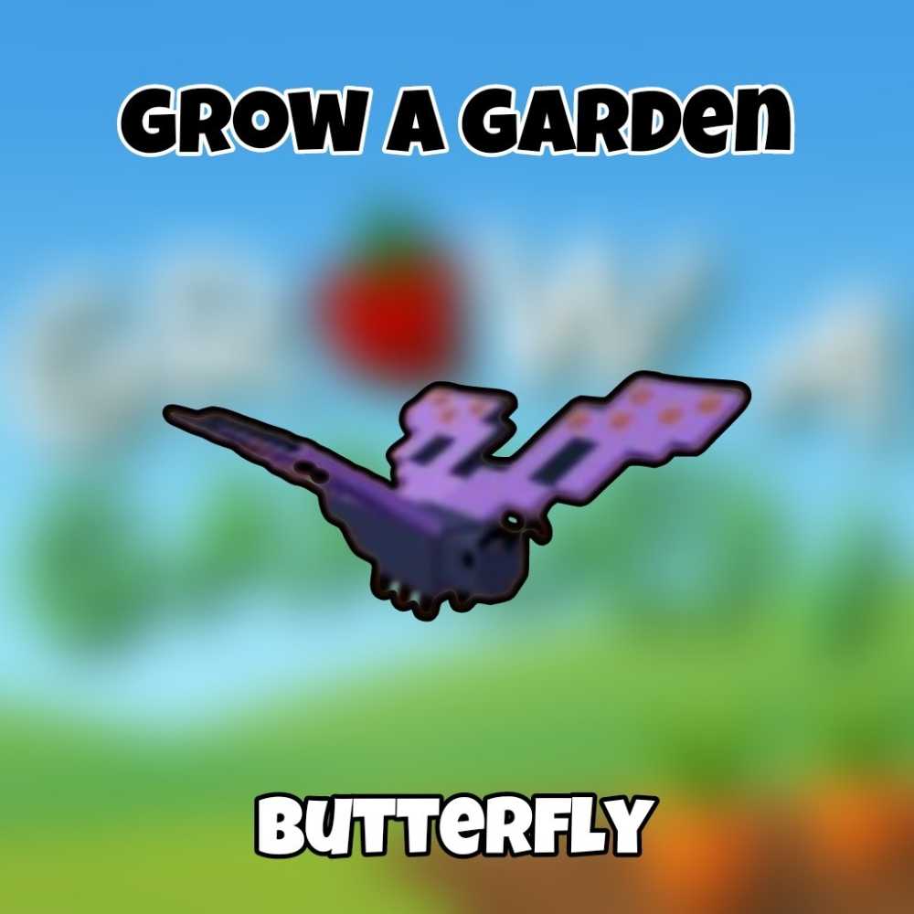 Butterfly pet